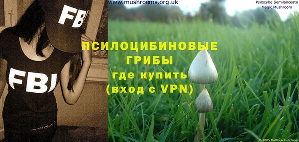 а пвп мука Аркадак