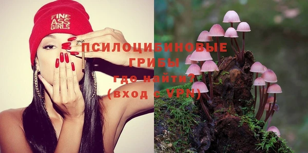 амф Арсеньев