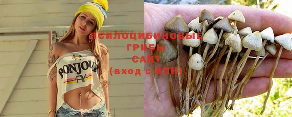 амф Арсеньев